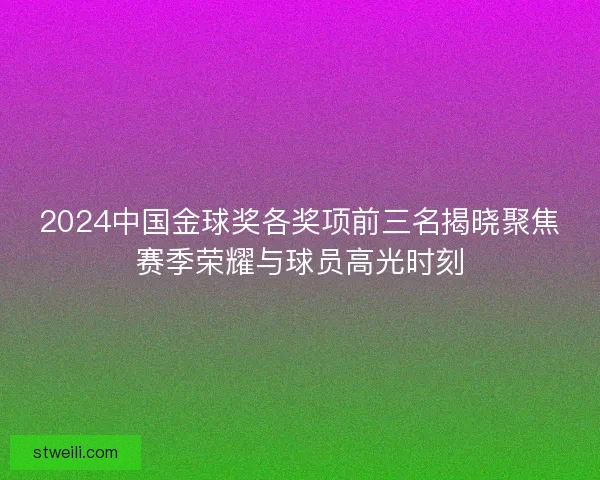 2024中国金球奖各奖项前三名揭晓聚焦赛季荣耀与球员高光时刻
