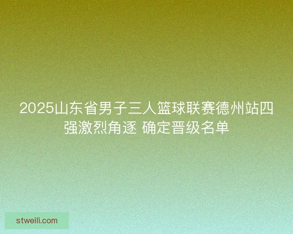 2025山东省男子三人篮球联赛德州站四强激烈角逐 确定晋级名单