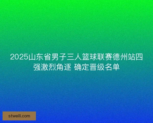 2025山东省男子三人篮球联赛德州站四强激烈角逐 确定晋级名单 2025山东省男子三人篮球联赛德州站四强激烈角逐 确定晋级名单