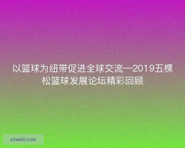 以篮球为纽带促进全球交流—2019五棵松篮球发展论坛精彩回顾 以篮球为纽带促进全球交流—2019五棵松篮球发展论坛精彩回顾